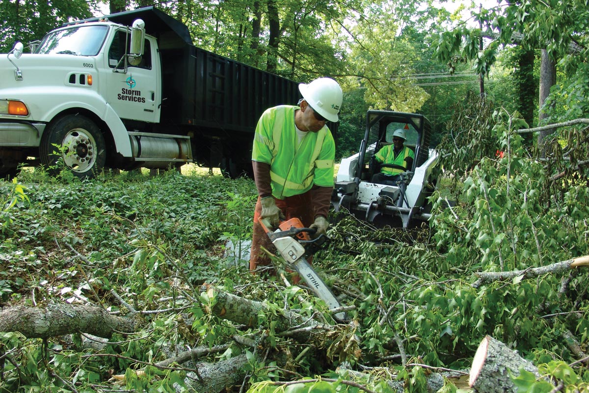 Tree trimming crews prepare downed trees to be removed.